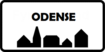 Odense-billig-kanel-peber-25-30-aars-foedselsdag